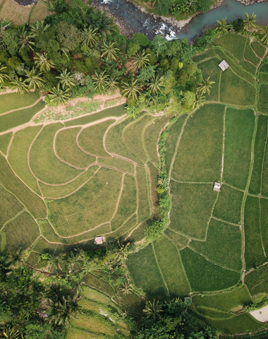 servicios  380x480px (4)